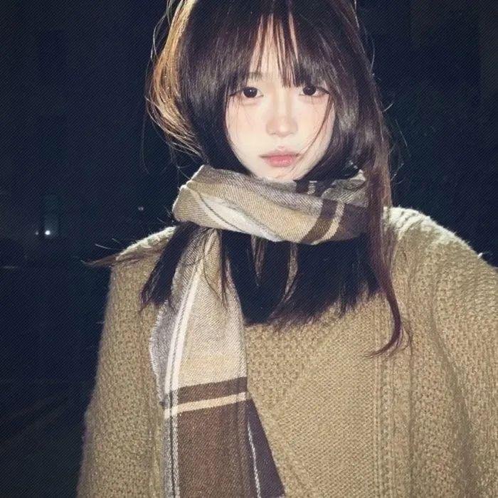 心之帘封面