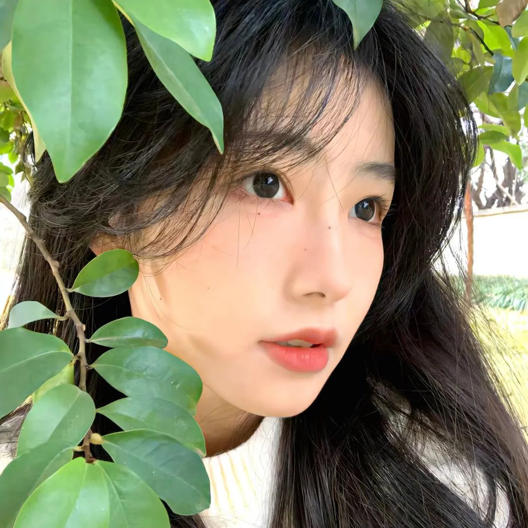 湘西诡案封面